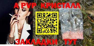 кокс Кингисепп