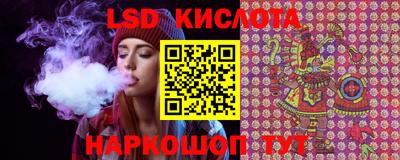 прущие грибы Кимры