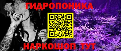 прущие грибы Кимры