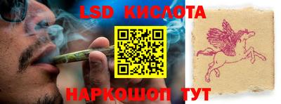 прущие грибы Кимры