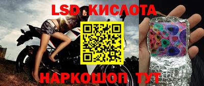 кокс Кингисепп