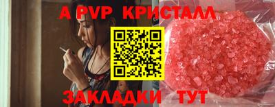 кокс Кингисепп