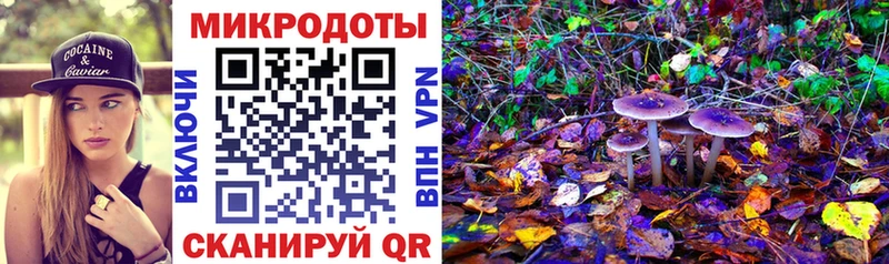 Псилоцибиновые грибы Psilocybe  наркошоп  блэк спрут вход  Можайск 