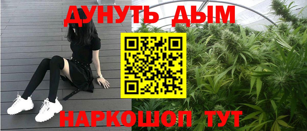 Бошки Шишки гибрид Можайск